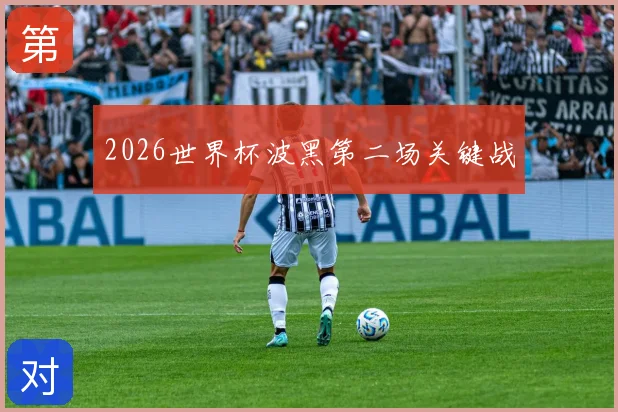 2026世界杯波黑第二场关键战